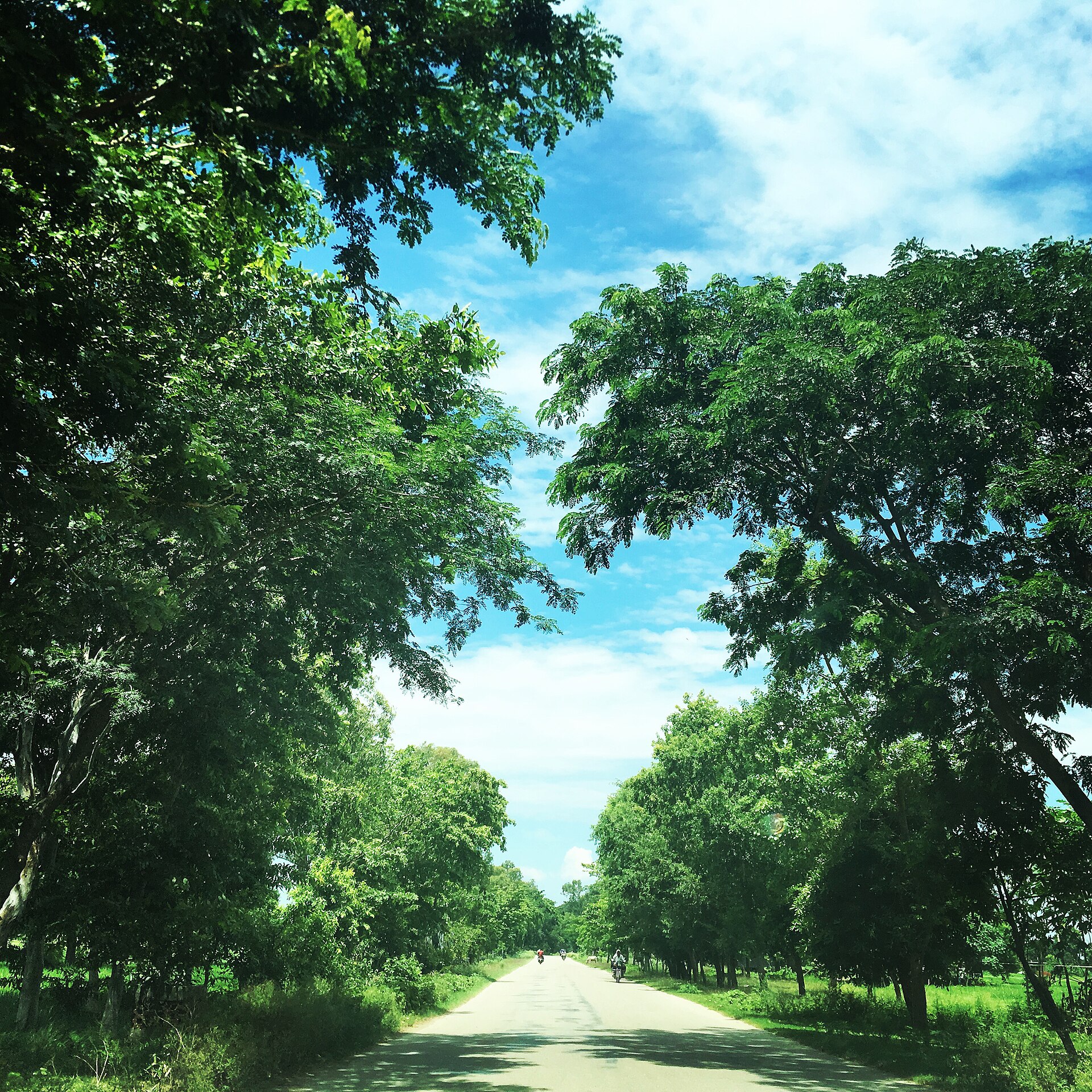 Rural Roads, Uttar Pradesh